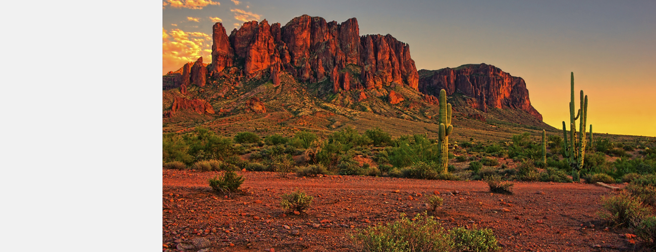 Why Choose CT 03_arizona_fpo-product-header.jpg