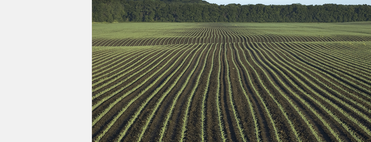 Why Choose CT 15_Iowa_fpo-product-header.jpg