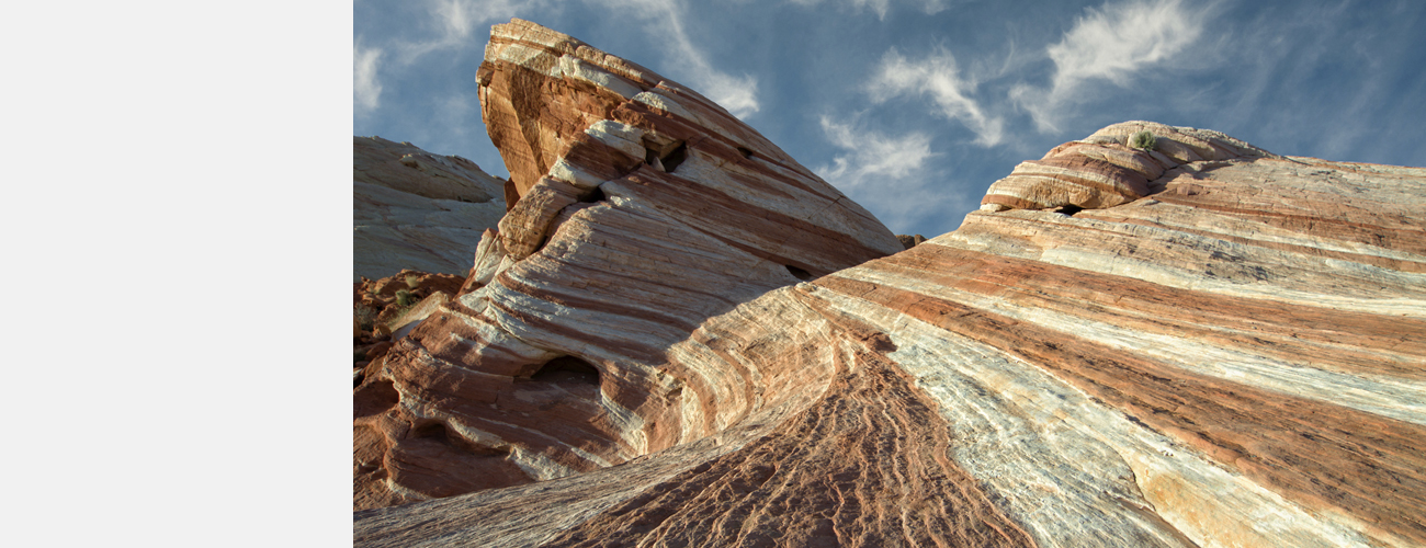 Why Choose CT 26_Nevada_fpo-product-header.jpg