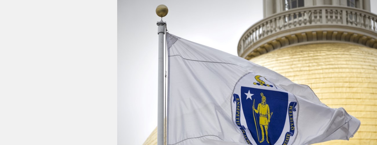 Massachusetts State Dome_side 1300x500.jpg