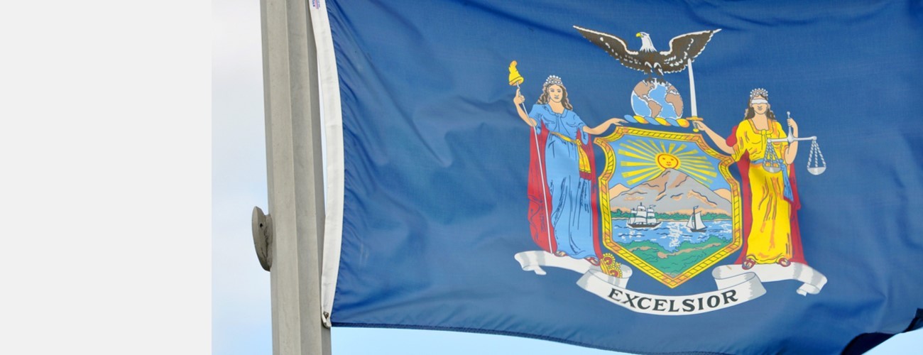 New York flag_side 1300x500.jpg