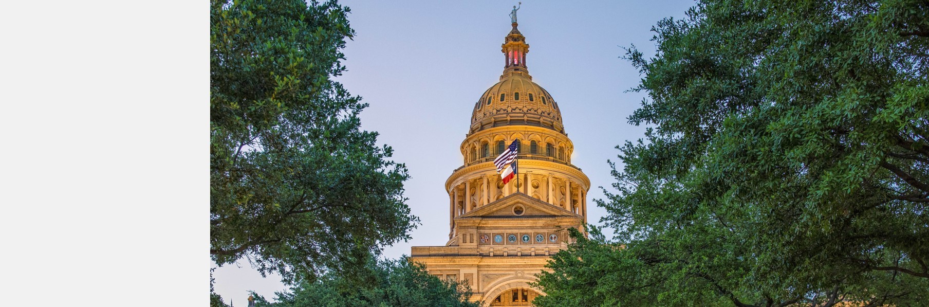 Texas state_side 1300x500.jpg